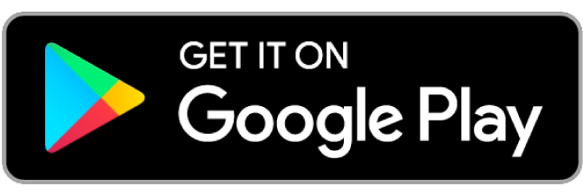 icona del Google Play Store